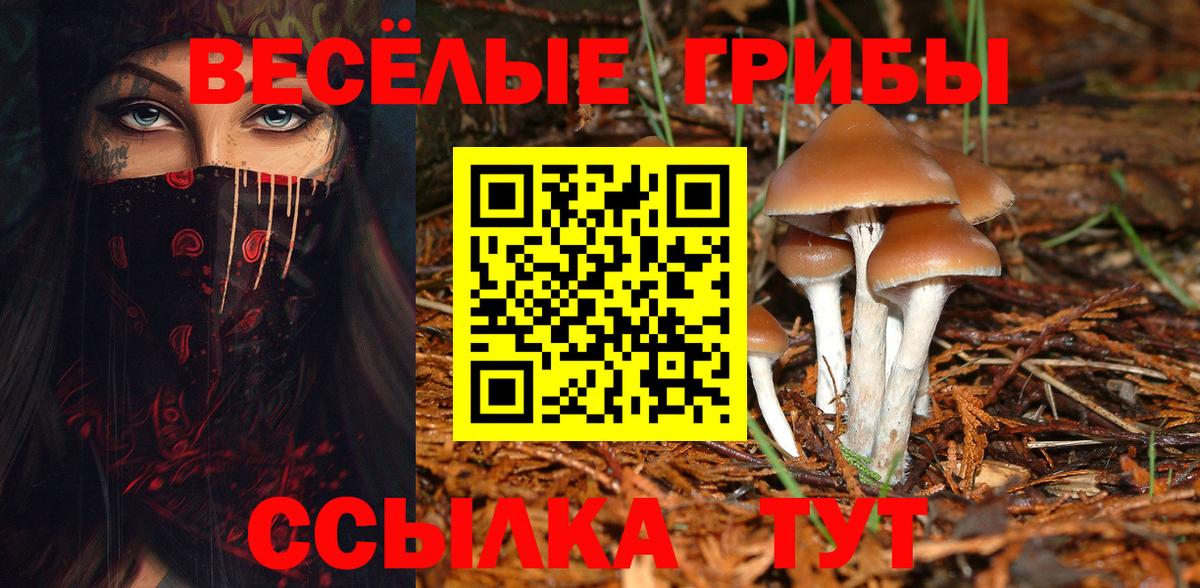 Псилоцибиновые грибы Cubensis  Галлюциногенные грибы мухоморы  Вход с VPN  Курчатов 