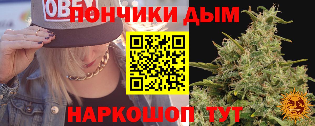 Курчатов  Бошки марихуана марихуана  Конопля MAZAR  Вход с VPN 